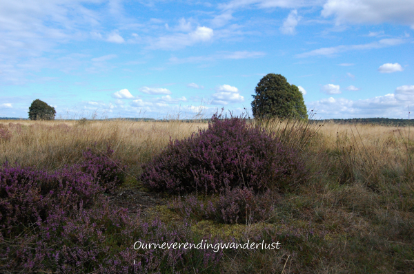 Angelique van Waarde-0829