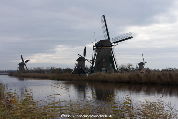 Ourneverendingwanderlust Kinderdijk-5179