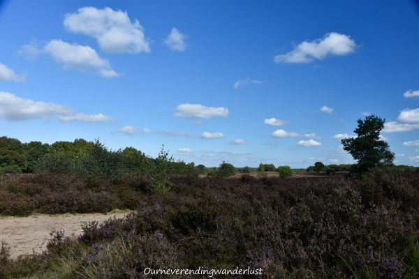 Ourneverendingwanderlust Speulderbos-1935