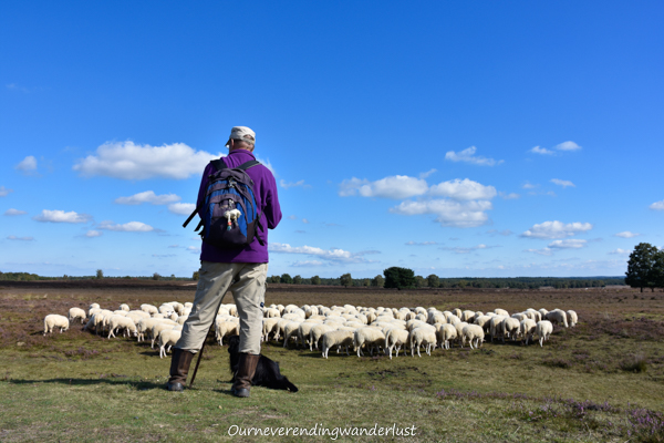 Ourneverendingwanderlust Speulderbos-2003