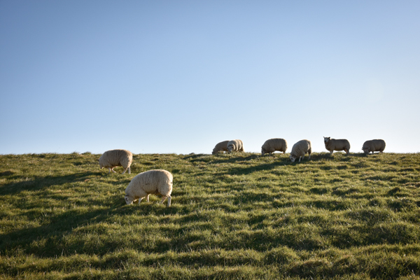 Our neverending wanderlust-7819