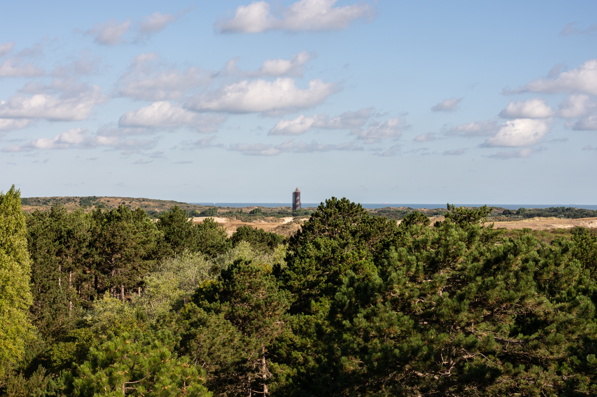 Our neverending Wanderlust Westerschouwen-9844