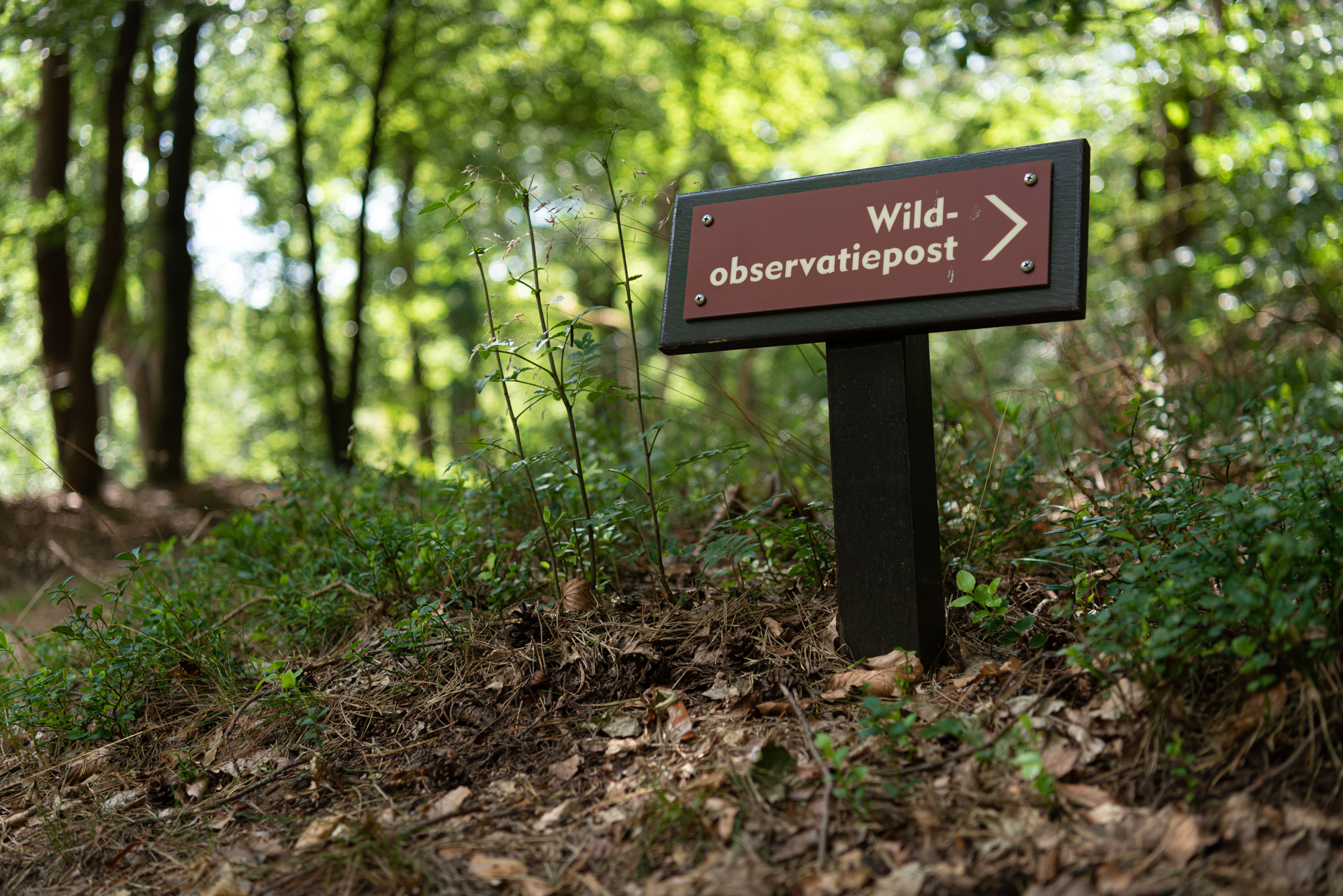 Our neverending wanderlust Paleis het Loo-1700