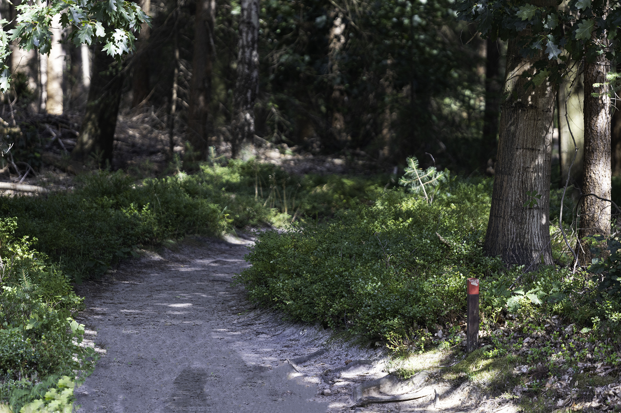 Ourneverendingwanderlust Paleis het Loo 3