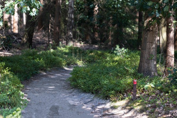 Ourneverendingwanderlust Paleis het Loo 3