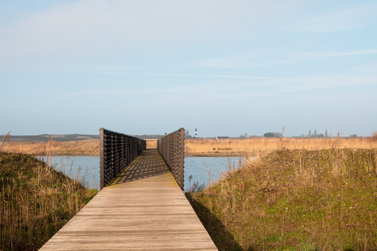 A hike in Waterdunen,&nbsp;Zeeland