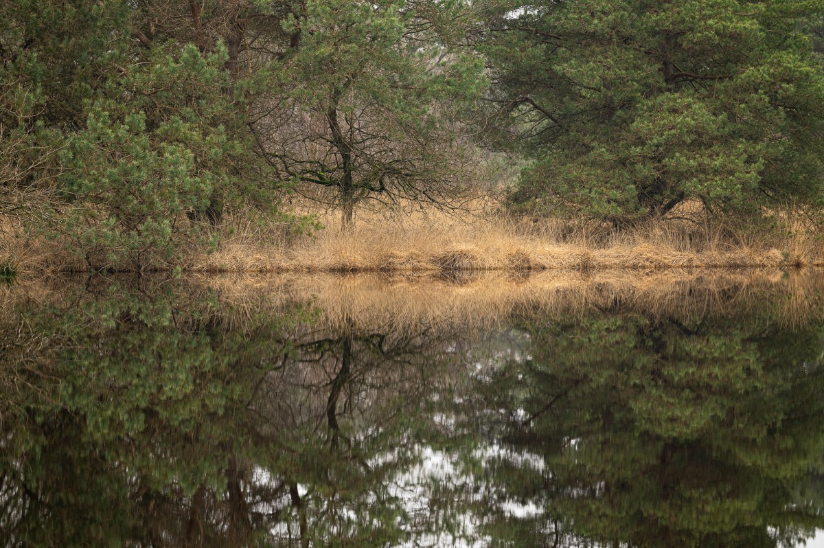 In search of the light in Van Gogh National&nbsp;Park