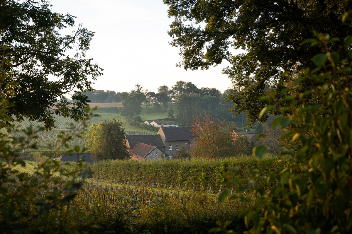 Make This Valentine’s Special with Outdoor&nbsp;Dates